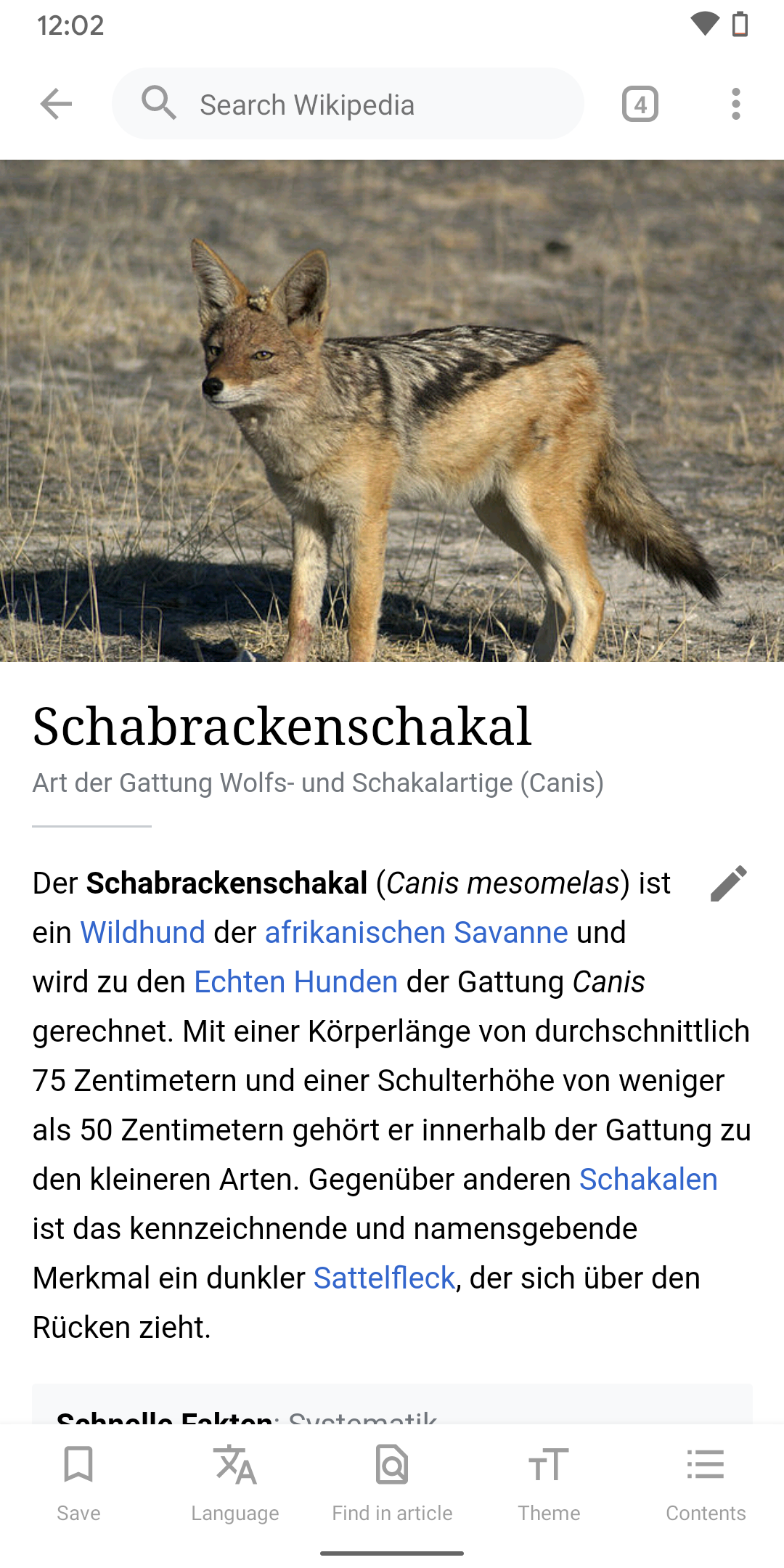 Screenshot of Search on Wikipedia Android