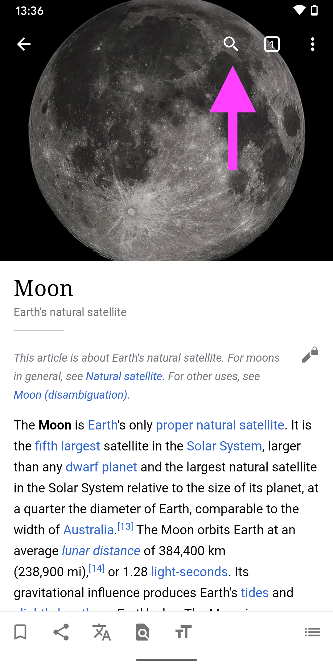 Screenshot of Search on Wikipedia Android